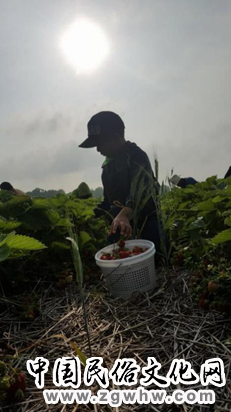 纵论天下|资本压榨,政府推诿——美国童工问题愈演愈烈